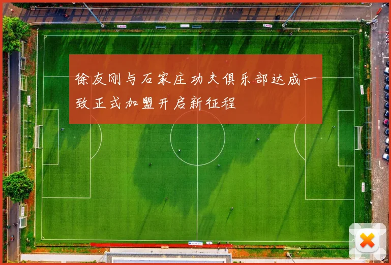 徐友刚与石家庄功夫俱乐部达成一致正式加盟开启新征程