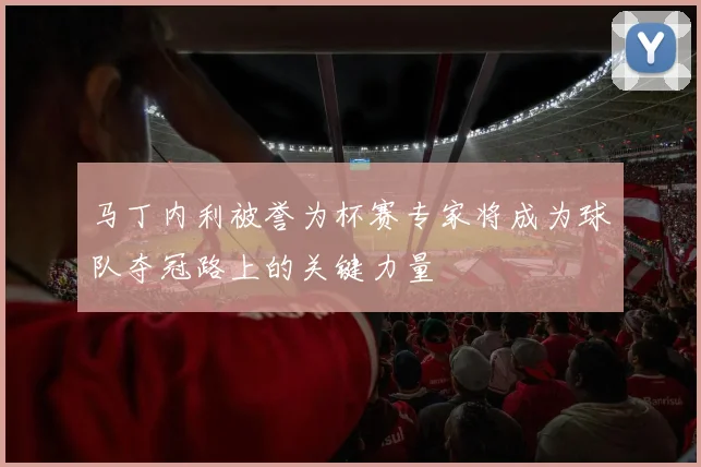 马丁内利被誉为杯赛专家将成为球队夺冠路上的关键力量