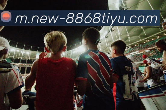 多媒体互动体验